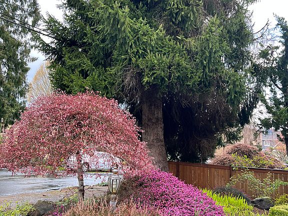 4th image of 18821 SE 42nd St