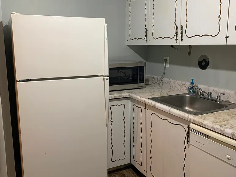 1233 Guelbreth Ln #110 — Photo 18