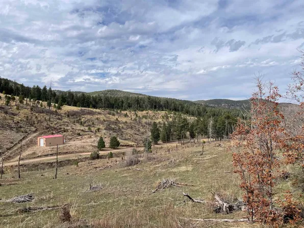 Balsam Dr, Sacramento, NM 88347