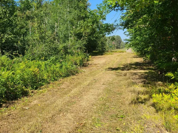 Knotty Pine Rd, Bruno, MN 55712