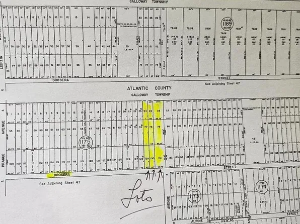 0 Drosera St, Mays Landing, NJ 08330