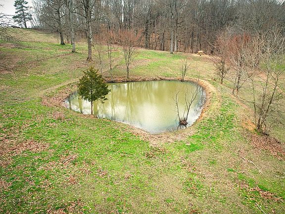 3rd image of 1152 Dogwalk Rd