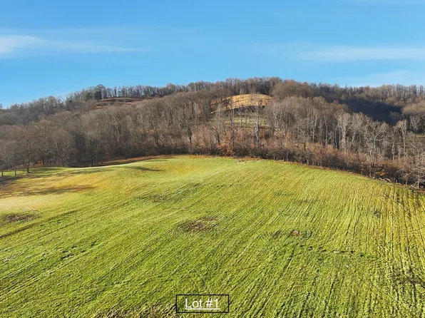 261 Dotson Ln Lot 1, Church Hill, TN 37642