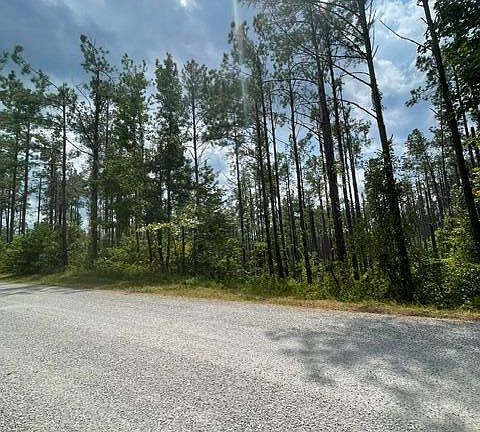 3rd image of County Road 331