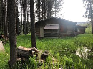 313 Secesh River Rd, McCall, ID 83638