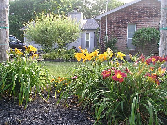 5th image of 878 Beech Bend Dr