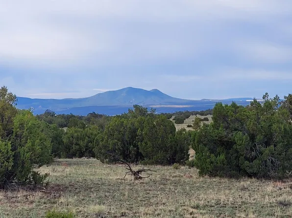 Xx Indian Springs Rd, Quemado, NM 87829