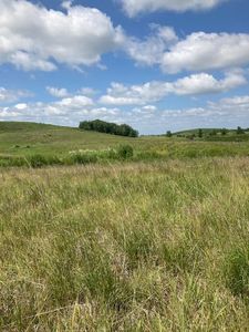 182 Avenue, Glenwood, MN, 56334