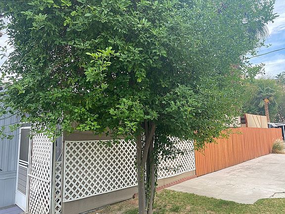 Side view w/fence 