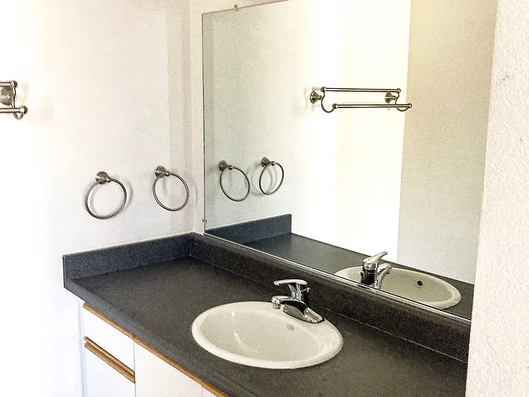 Primary Bath Vanity