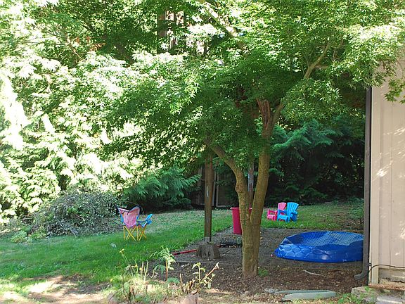 3rd image of 6802 183rd Ave E
