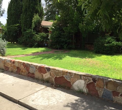 Front yard