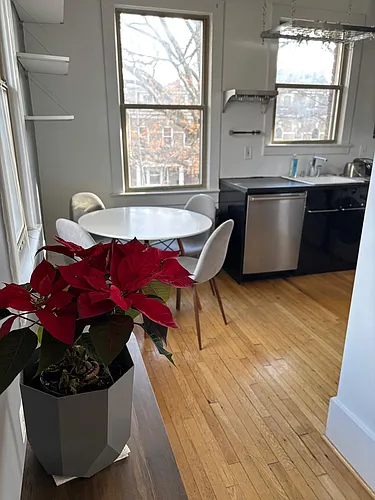 1725 Lanier Pl NW #31A Photo 1