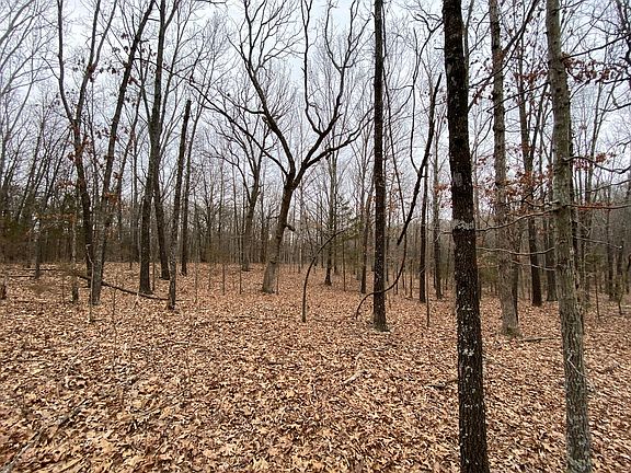 3rd image of County Road 8040