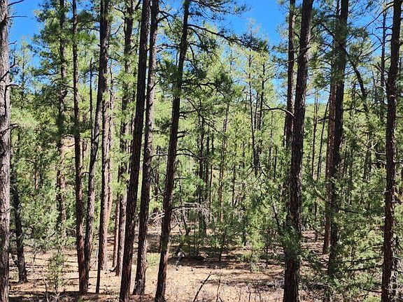 4th image of Ridge Spur Ln Unit 1