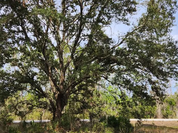 20579 SE Hwy 349, Suwannee, FL 32692