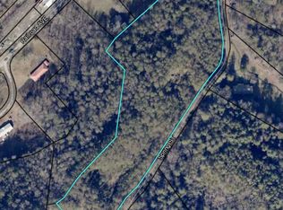 0 Spring St, Mineral Bluff, GA 30559