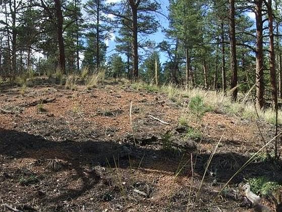 1st image of 15461 Westcreek Rd