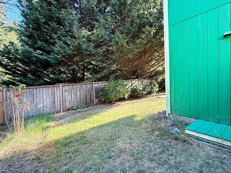 Back yard