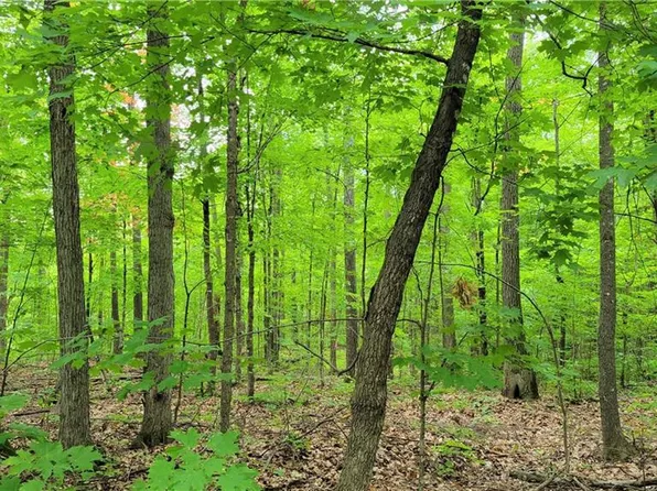 Lot 45 West Holly Lake Lane, Stone Lake, WI 54876