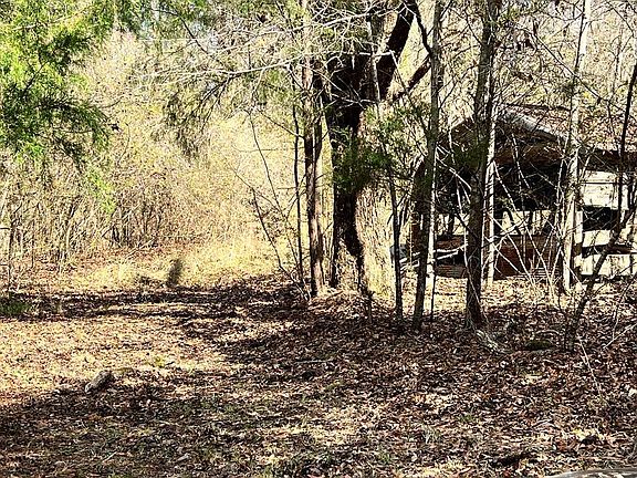 2nd image of 0 Merritt Rd