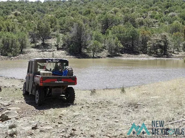 Y6 Road, Mule Creek, NM 88051