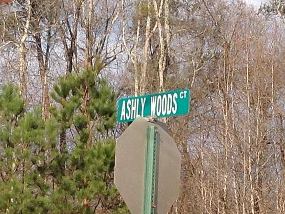 5th image of 2884 Ashly Woods Ct
