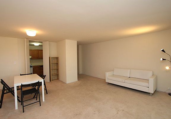 4th image of 3041 S Michigan Ave Unit 302