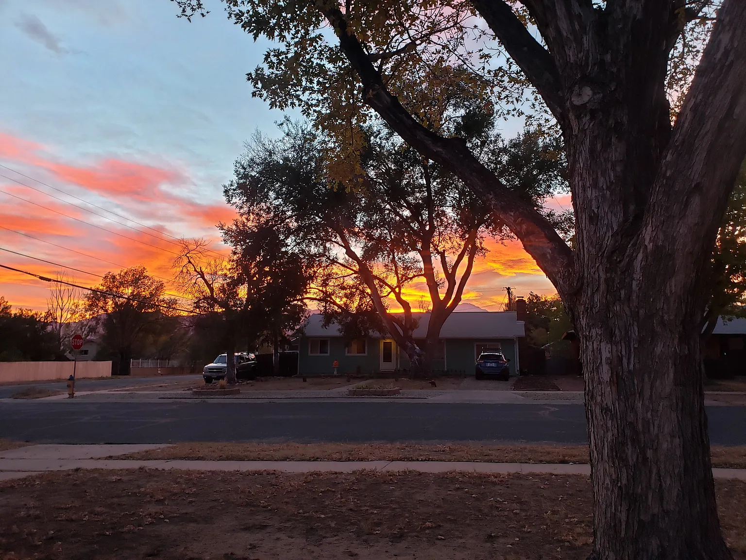 Laurette Dr, Colorado Springs — Photo 4