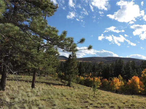 5113 Campfire Road, Hartsel, CO 80449