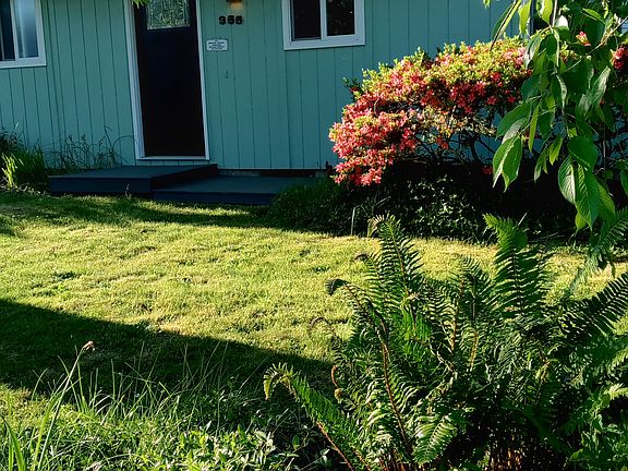 Front yard