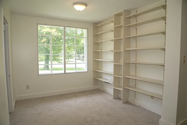 Downstairs Library