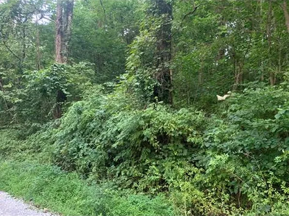 0 Limestone Ridge, New Martinsville, WV 26155