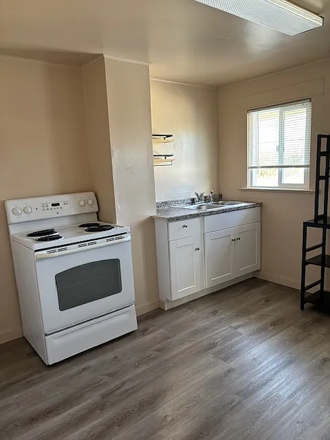 1 bed, 480 sqft, $950 — Photo 3