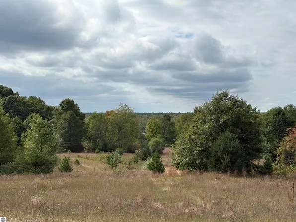 7267 S Snyder Rd SW, Fife Lake, MI 49633