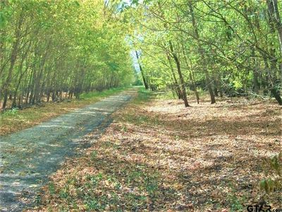 Shawnee Creek Rd, Avery, TX, 75554