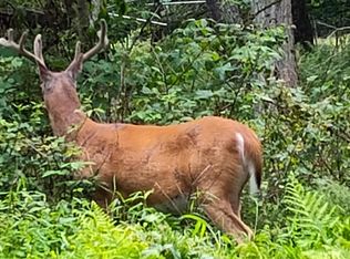 528 Hummingbird Ln, Hawley, PA 18428