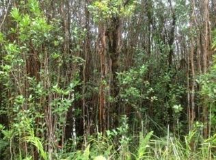 Hopue Rd #3, Mountain View, HI 96771