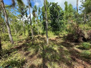 B 1 Barrio Beatriz #B-1, Cidra, PR 00739
