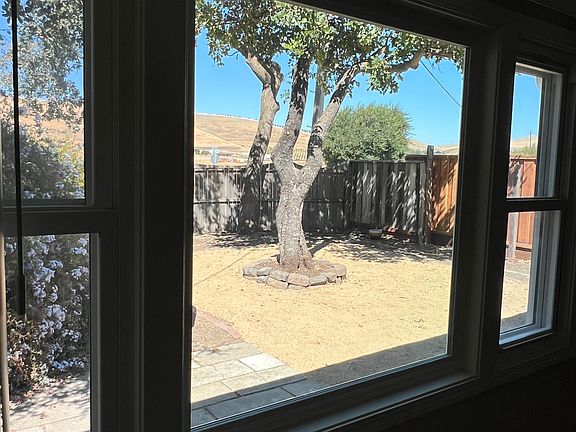 View out living room window.