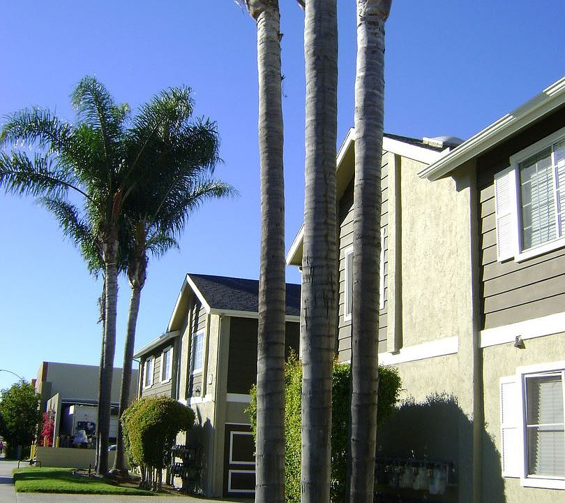 2nd image of 390 W University Ave APT 19