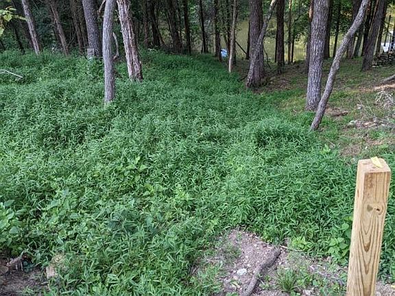 4th image of LOT-214A 215a Trailwood Ln