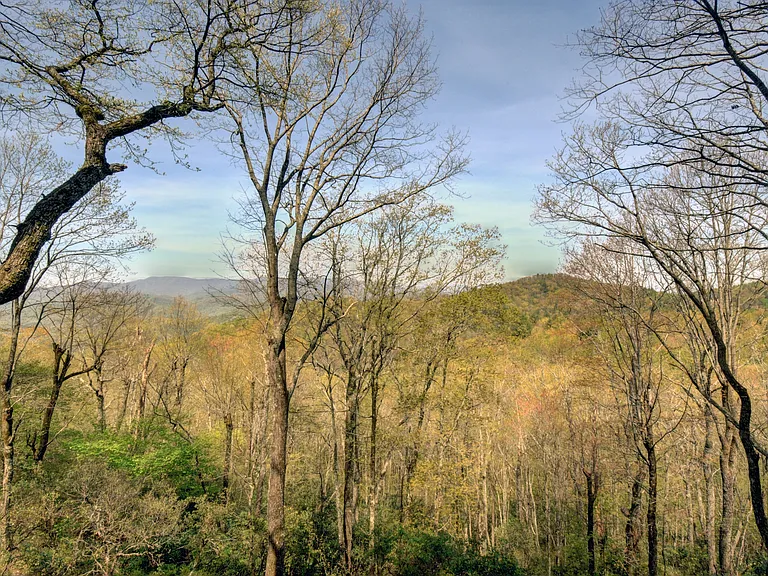 100 Pleasant Mountain Dr — Photo 34