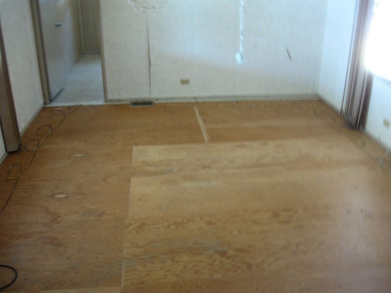2nd image of 28488 Us Hwy 19 N Lot 66
