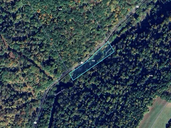 256 Browns Run Rd, Littleton, WV 26581