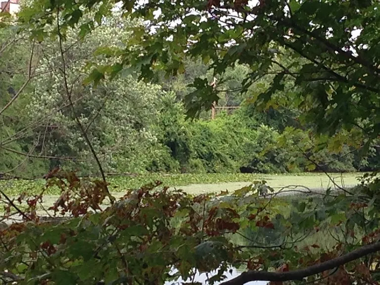 River directly across the street