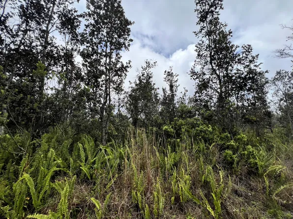 Kailua Blvd Lot 3, Ocean View, HI 96737
