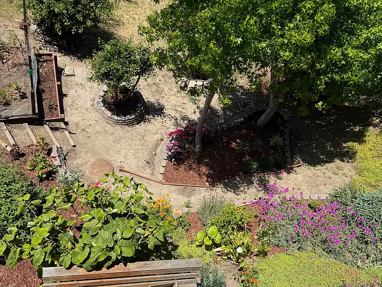 225 Buena Vista Ave — Photo 19