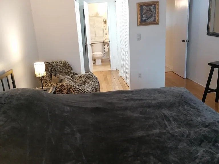 405 N Hibiscus Dr — Photo 32
