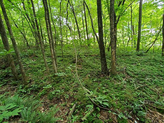 2nd image of 235 County Rd Lot 1